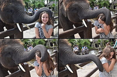 Elephant Safari Park Ubud Bali 2013 rebeccatrex