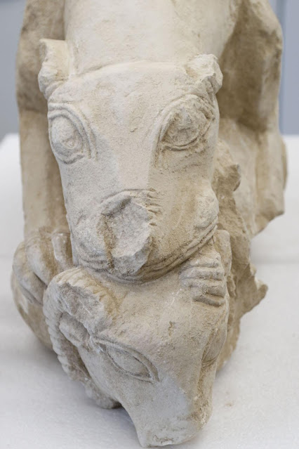 Spanish farmer finds 3,000 years old lion sculpture while ploughing his olive grove