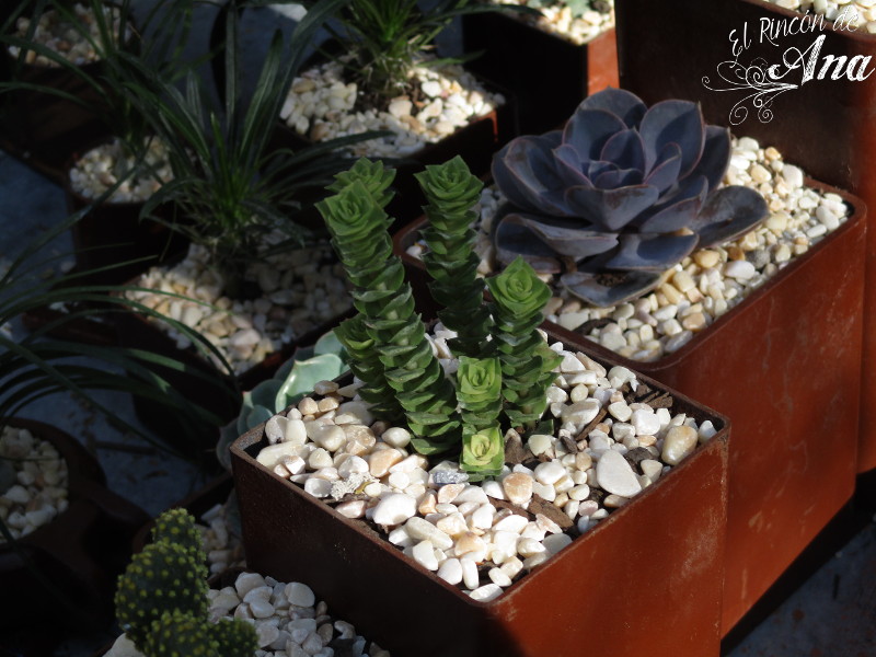 feria de la candelaria 2017