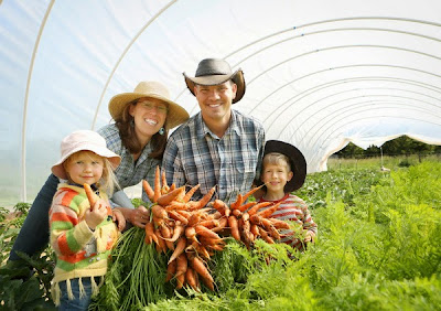 The Deliberate Agrarian: True No-Till Market Gardening($100,000 An Acre