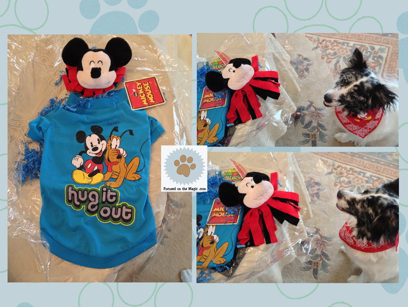 New Disney Line for Dogs at PetSmart Review Focused on the Magic