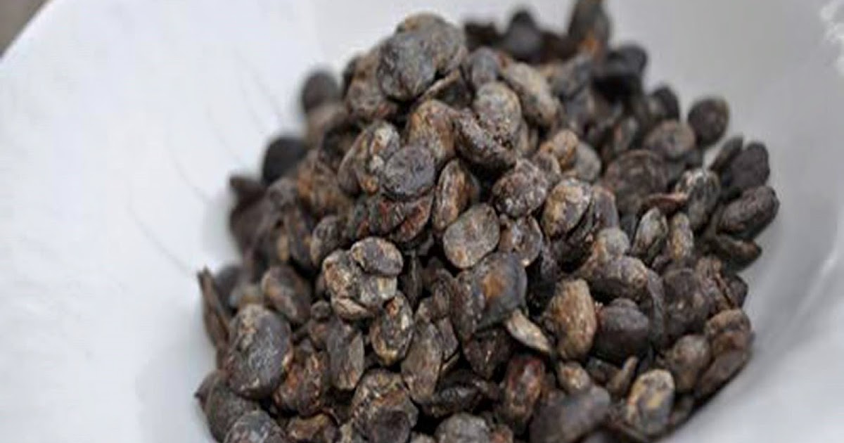 Health Benefits of Locust Bean The Food Legends