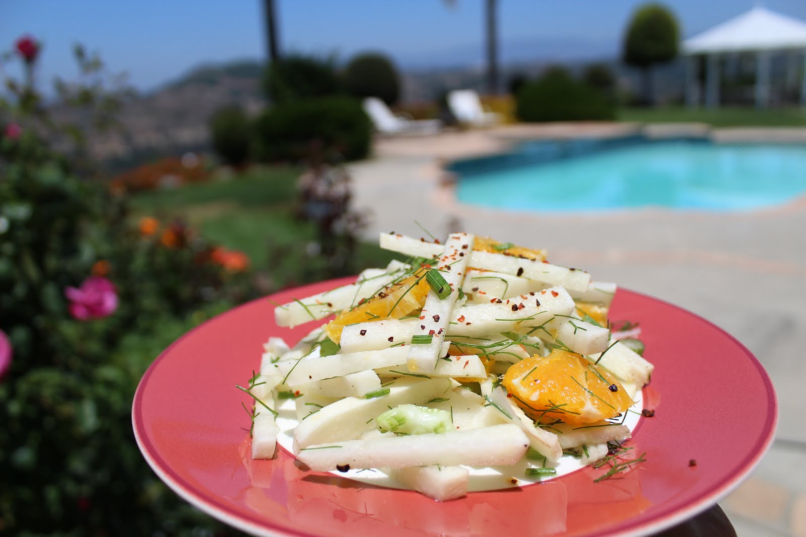 Summer Shrimp, Jicama & Fennel Salad