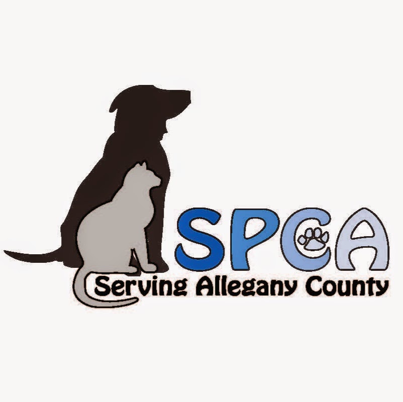 Wellsville Regional News Dot Com The Spca Serving Allegany County Covid 19 Announcement