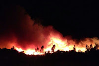 Fuente: https://www.ara.cat/societat/incendi-forestal-Vilopriu-Baix-Emporda_0_1027697445.html Los fuegos forestales son temibles