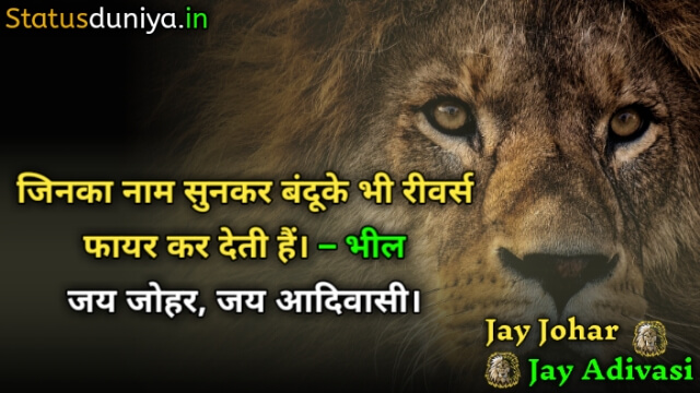 जय आदिवासी भील शायरी स्टेटस फोटो डाउनलोड
Bhil Shayari
Jay Johar Adivasi Bhil Shayari Status Photos Download
Bhil Adivasi Attitude Shayari
जय आदिवासी स्टेटस
आदिवासी शायरी डायलॉग
आदिवासी समुदाय का स्टेटस
भील की शायरी फोटो
भील शायरी फोटो डाउनलोड
भील राजा फोटो शायरी स्टेटस
आदिवासी फोटो शायरी
आदिवासी शेर शायरी भील फोटो
आदिवासी गुजराती भील शायरी
आदिवासी भील स्टेटस इन हिंदी
Jay Adivasi Bhil Shayari Status Photo Download
आदिवासी ऐटिटूड शायरी
भील शायरी फोटो डाउनलोड