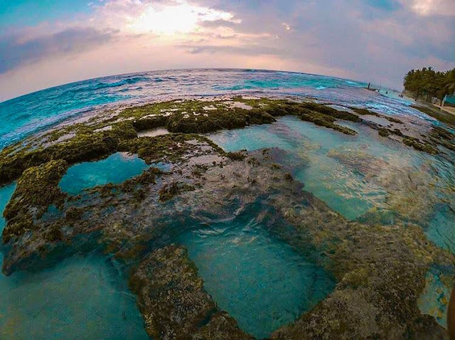 පොල්ලෙලි පල් කරපු - තල්පේ තටාක 🌴🥥🌊🏊🏻‍♂️ (The rock pools in Thalpe) - Your Choice Way