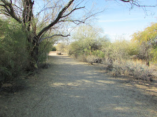 Hiking Path in Desert