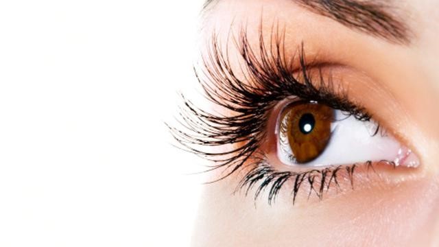 Apa itu Pemeriksaan Mata Dasar? kim kiwi Apa itu Pemeriksaan Mata Dasar? kim kiwi