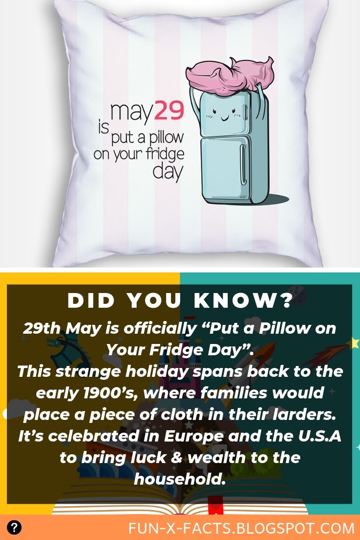 29th May is officially “Put a Pillow on Your Fridge Day” Amazing WTF Facts