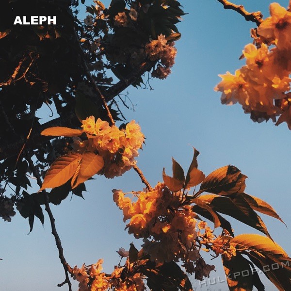 ALEPH – Good bye blue days – Single