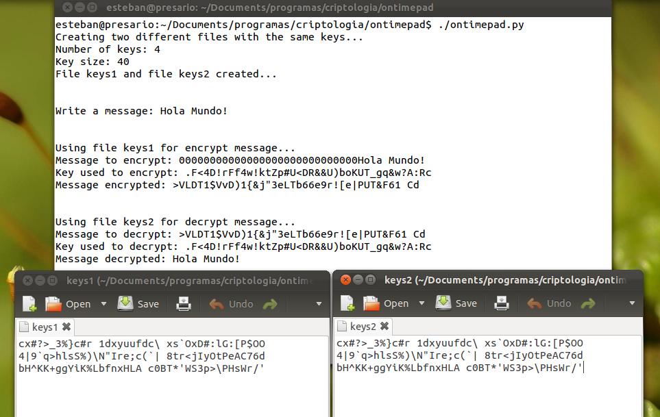 Ramón González Pads