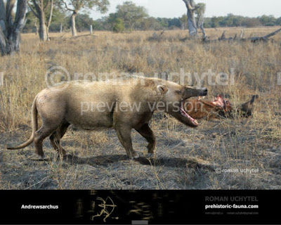 Andrewsarchus