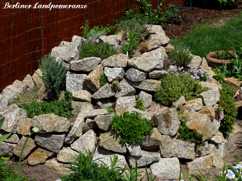 Berliner Landpomeranze Ein Berlin Gartenblog Krauterspirale