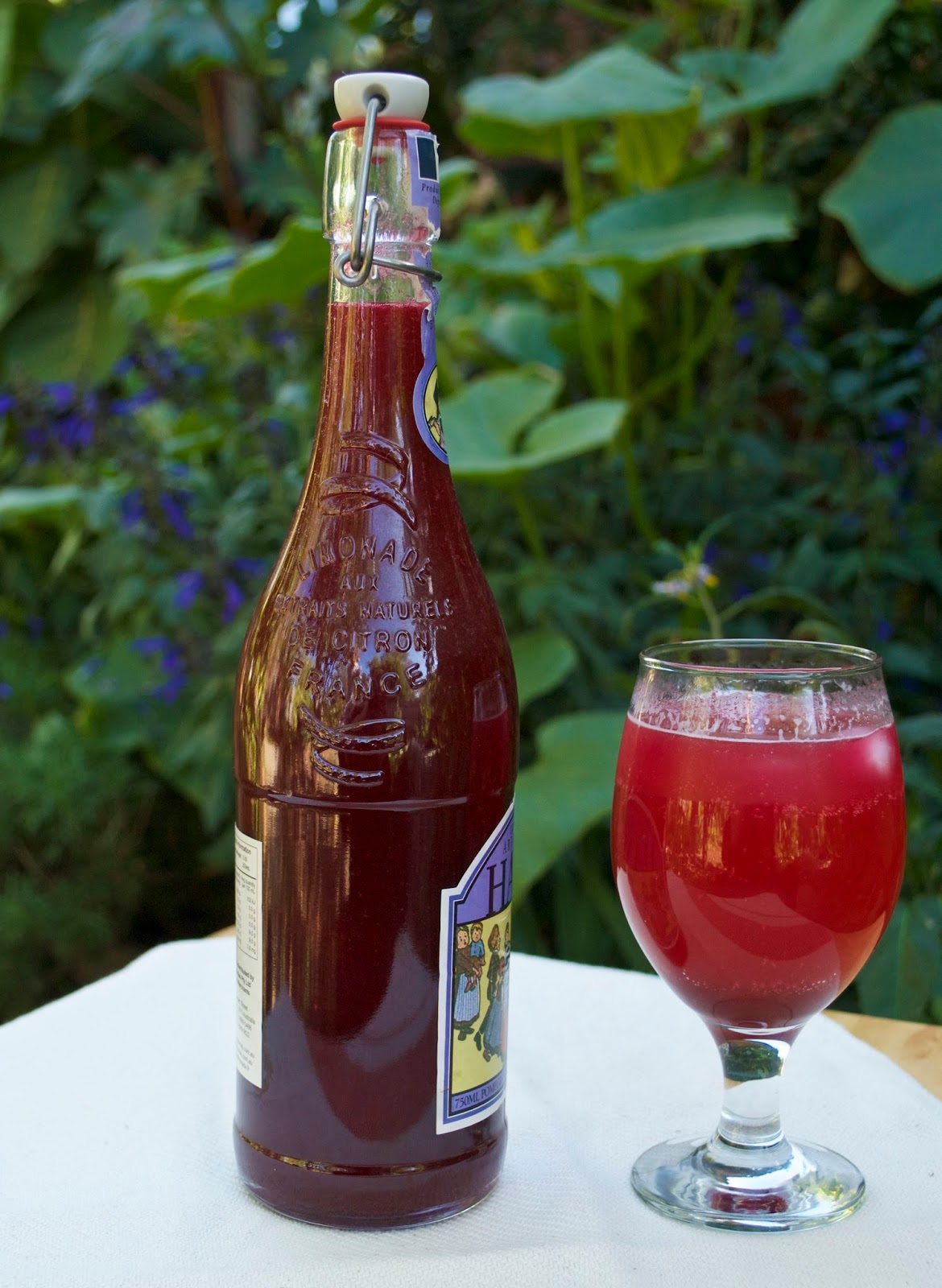 Kelly Casanova Prickly Pear syrup recipe