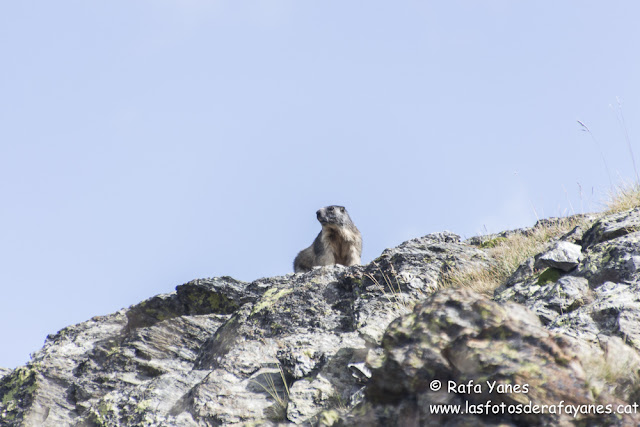 Ruta: Pic de l’Infern (2.859 m) (Els 100 Cims