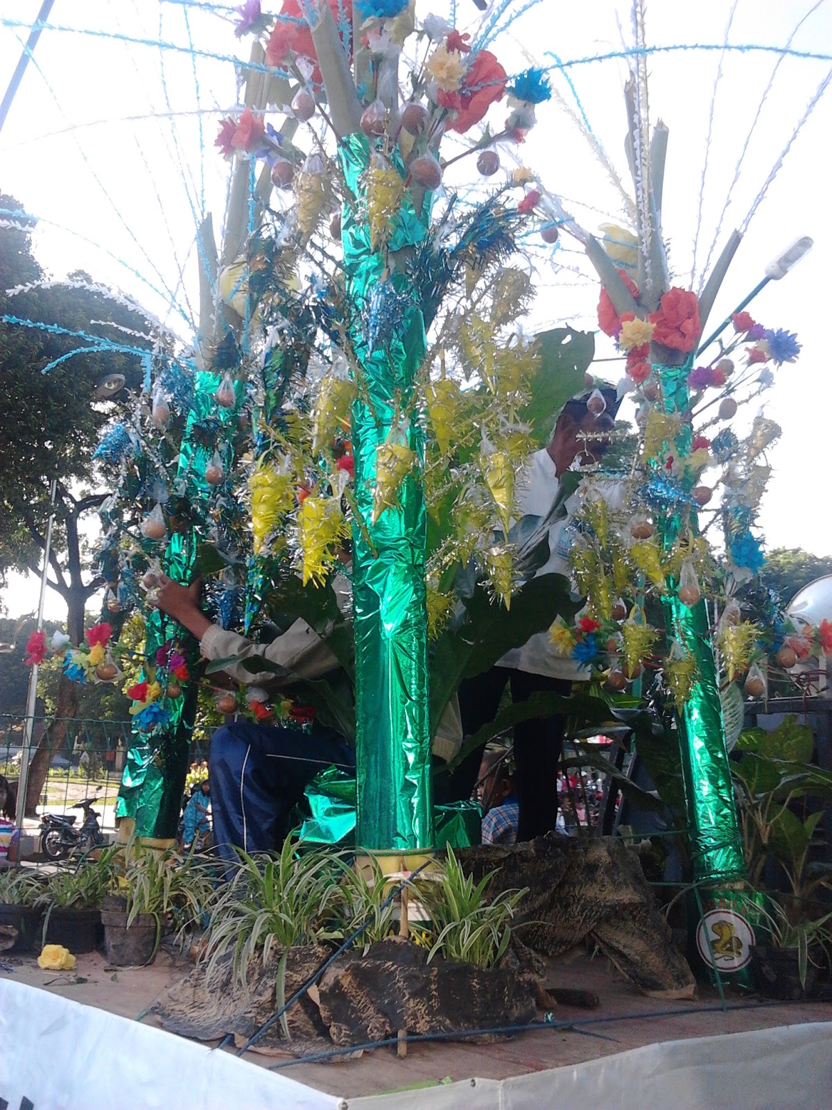 Gambar Bunga Male Tercantik Gambar Bunga