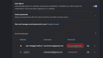 Lihat Password Tersimpan di Chrome