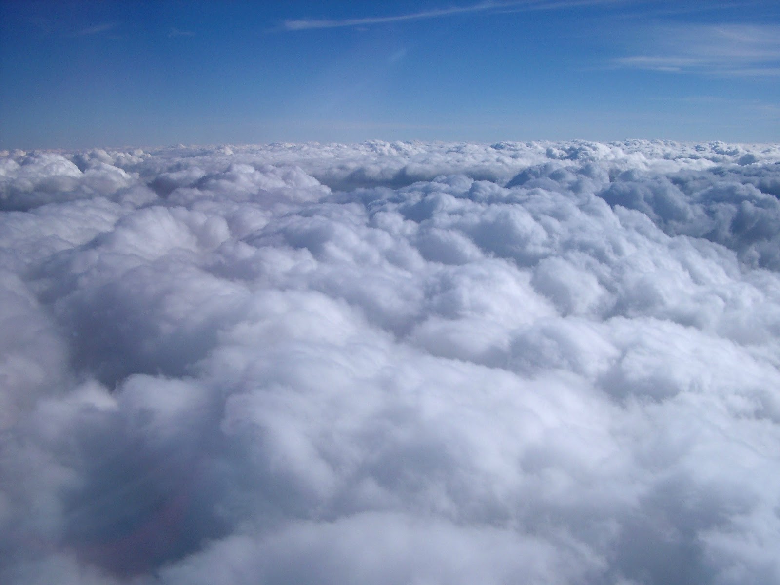 Libros de Salvador Bayarri ¡Que estás en las nubes...