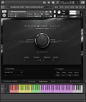 Download Native Instruments Symphony Series Woodwind Solo KONTAKT Library