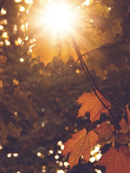 July 21 2018 Date In History News Social Media Day Info