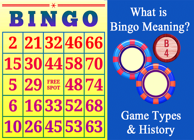 What is Bingo Meaning? Game Types and History