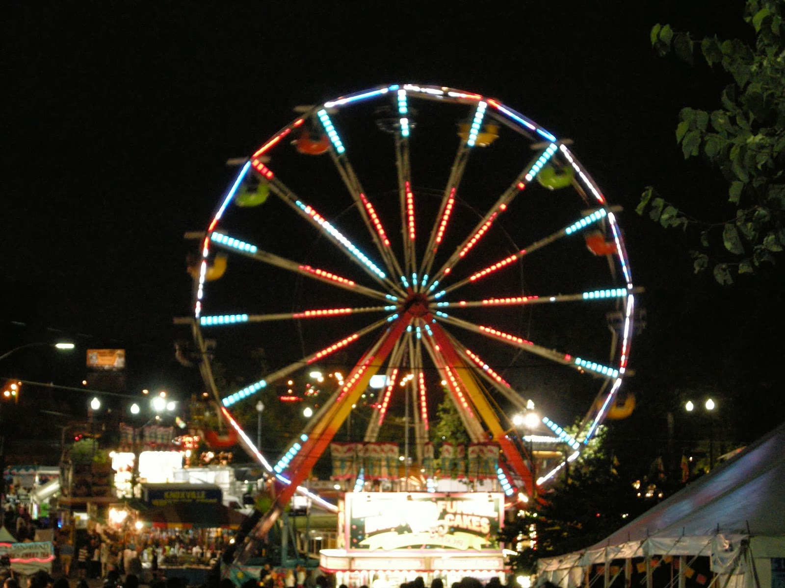 Life With The Moore Family TN Valley Fair life-with-the-moore-family-tn-valley-fair