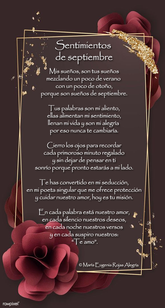 Ver las imágenes de origen