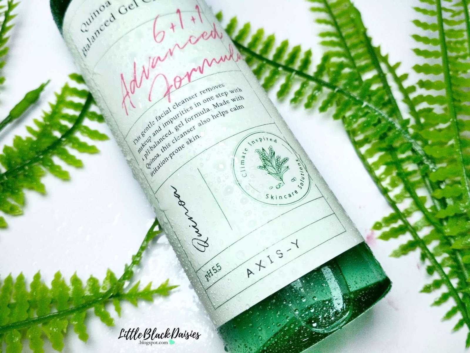 AXISY QUINOA ONESTEP BALANCED GEL CLEANSER REVIEW Little Black Daisies