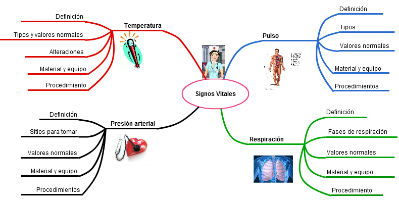 Mapa Mental De Signos Vitales - slingo