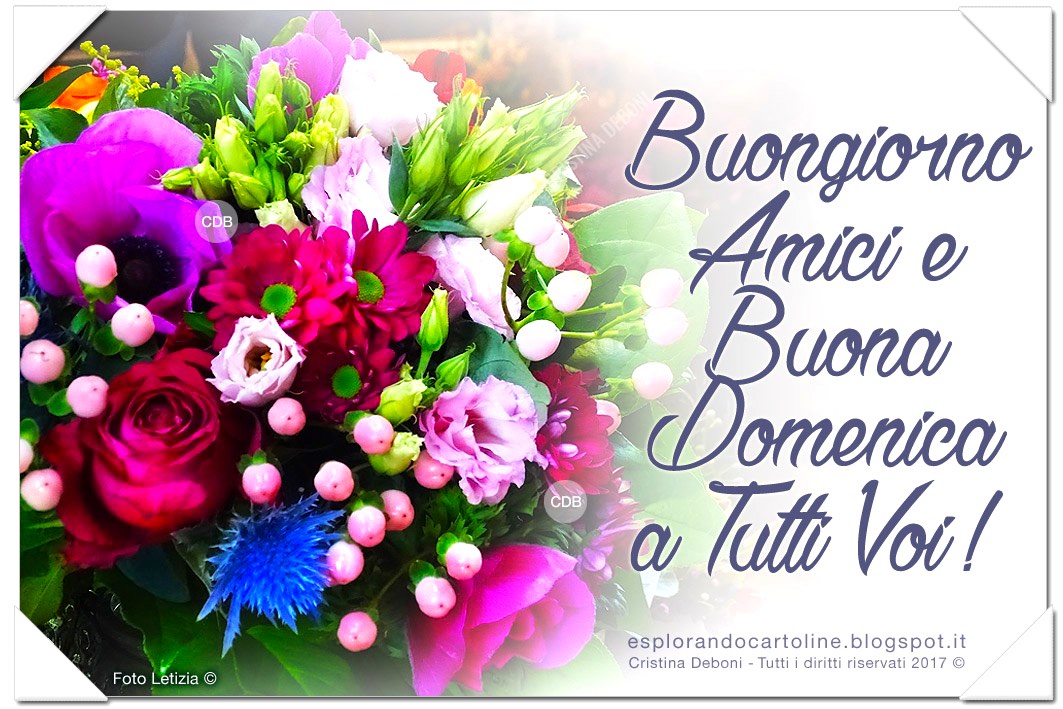 Buongiorno E Buona Domenica Di Gennaio Cartoline per tutti i gusti: Cartolina 🌸🌺🌸 BUONGIORNO Amici e BUONA