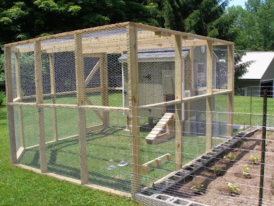 Chicken House Plans: Chicken Coop Building Mistakes