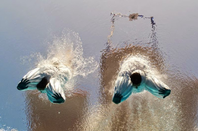 Βουτιές - Dives