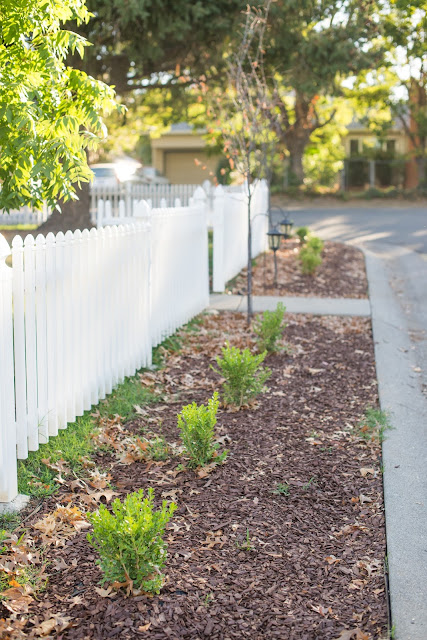 Domestic Fashionista: Updated Front Yard Garden Bed
