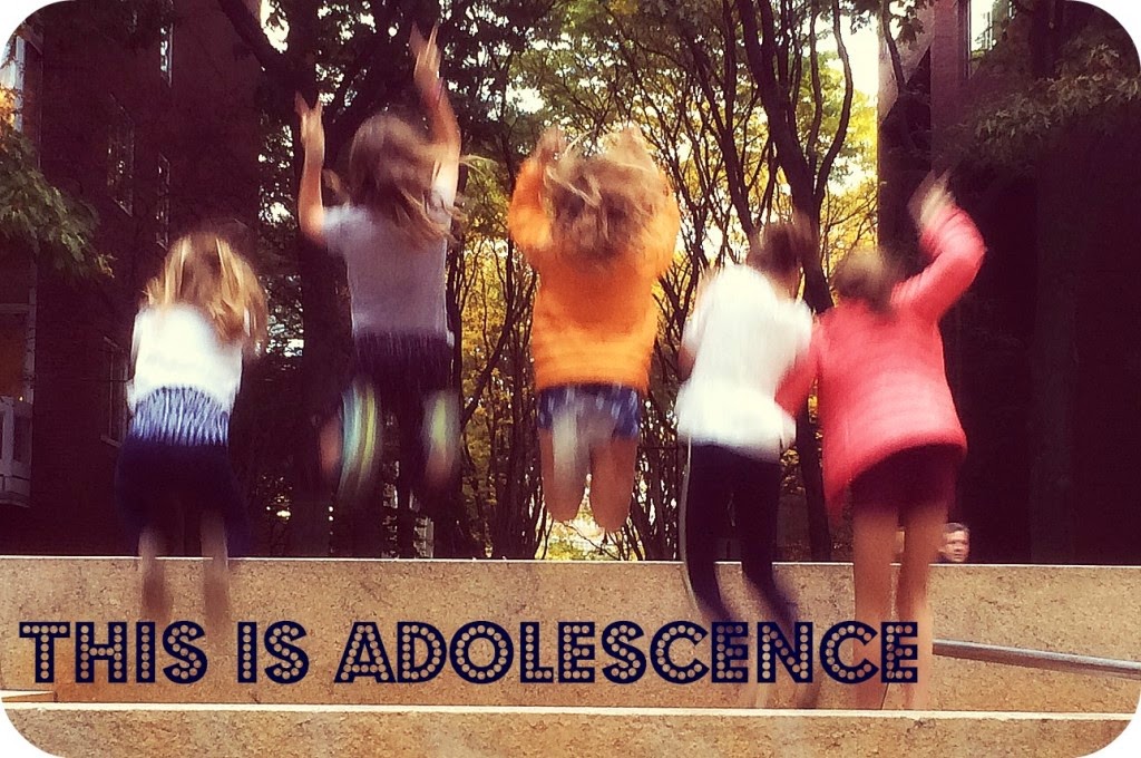 Here is your free sample essay on Adolescence