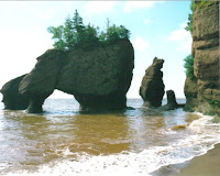 https://campingwithfivekids.blogspot.com/ https://campingwithfivekids.blogspot.com/
