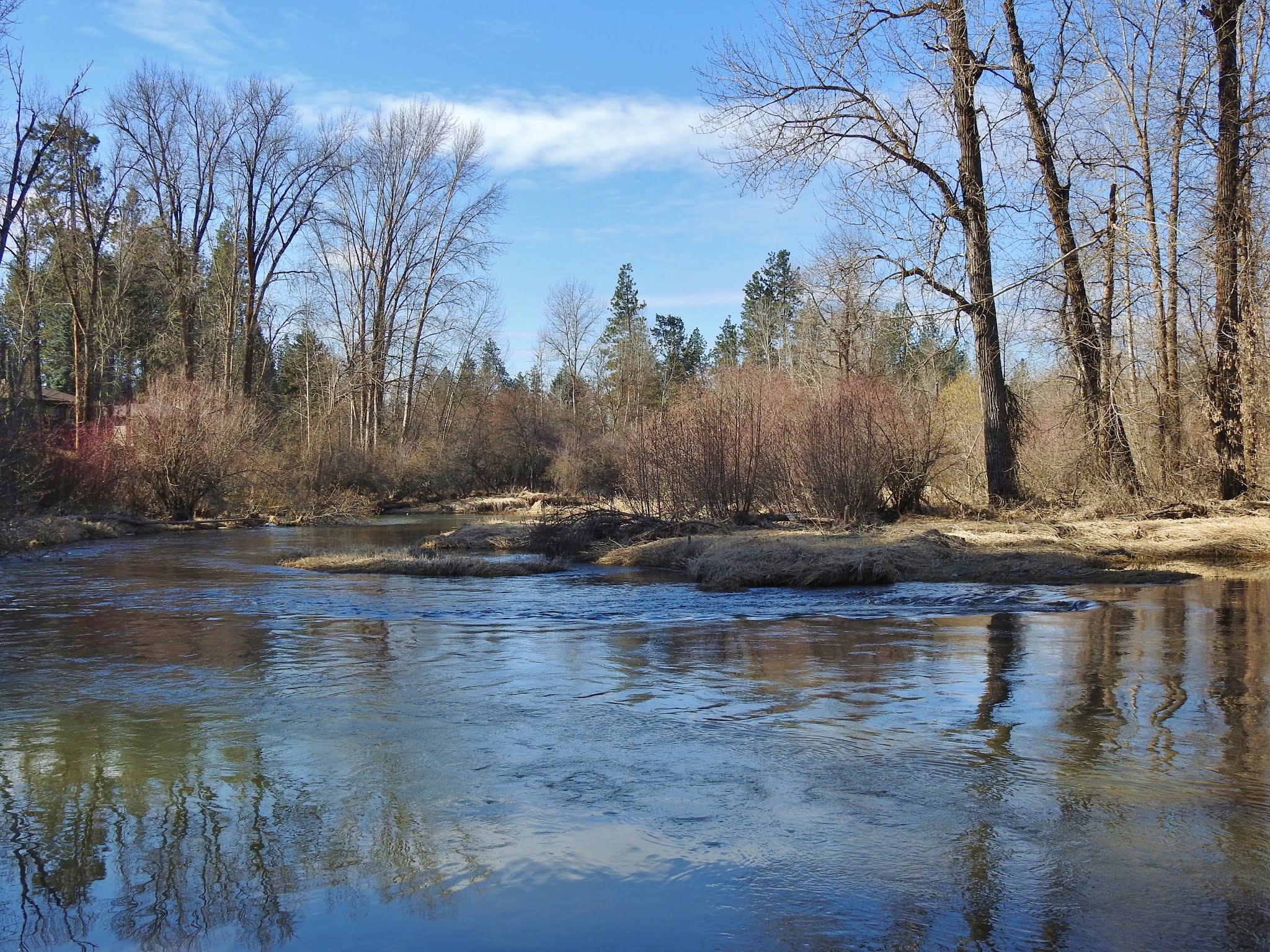 Goin Walking Haynes Estate Conservation Area North Spokane