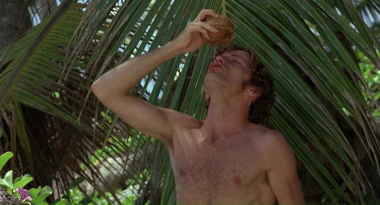 робинзон крузо на острове с пятницей. робинзон крузо на острове грехов. робинзон крузо на острове грехов. робинзон крузо очень обитаемый остров. фильм робинзон крузо на острове грехов фильм 2005.