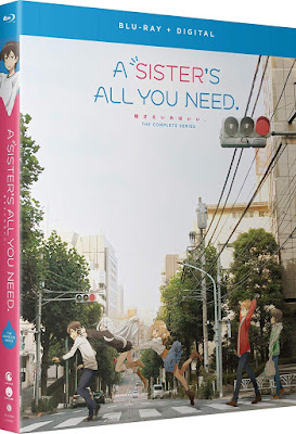A Sisters All You Need Complete Series Bluray