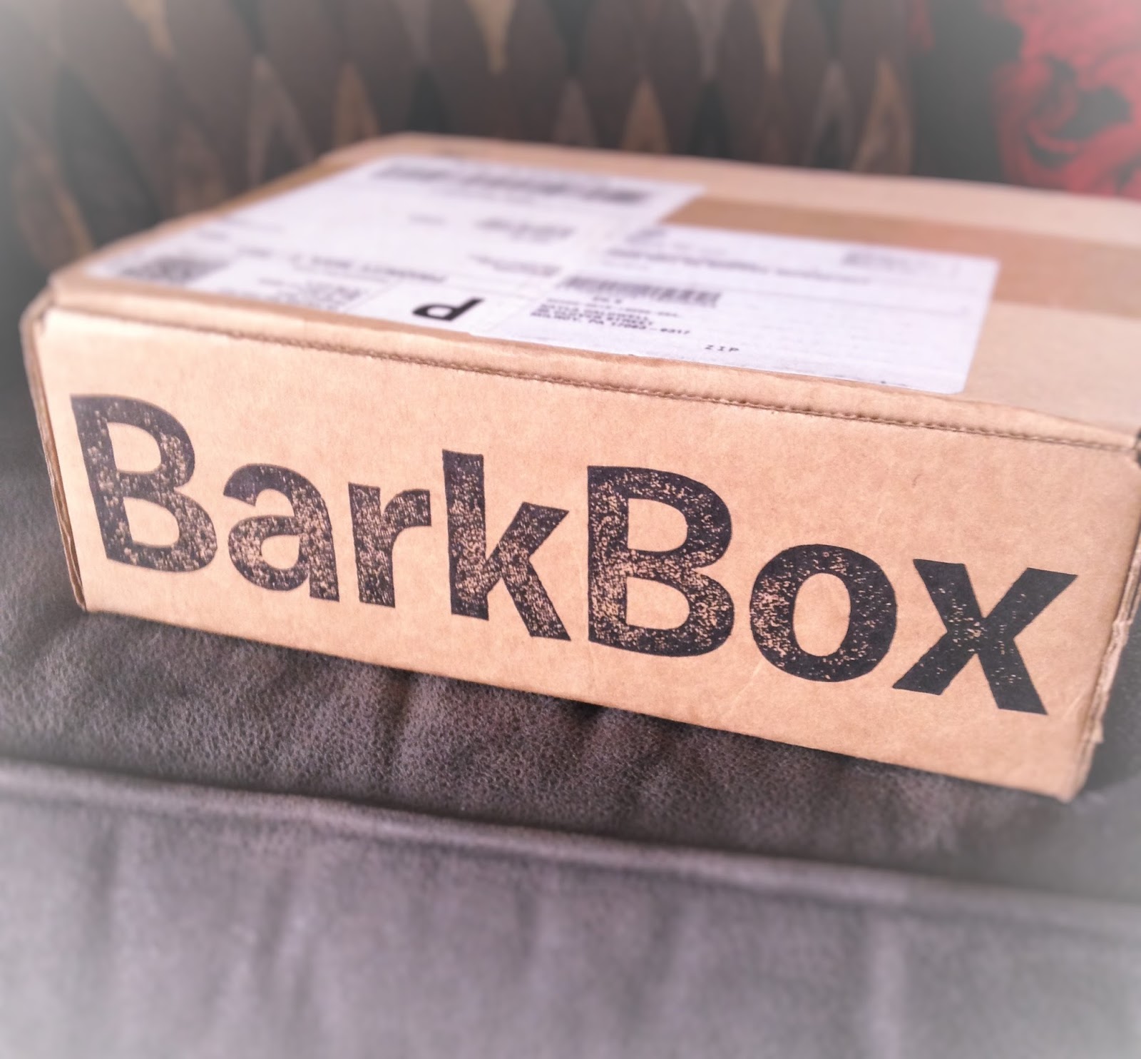 Dog Owner Central Bark Box review