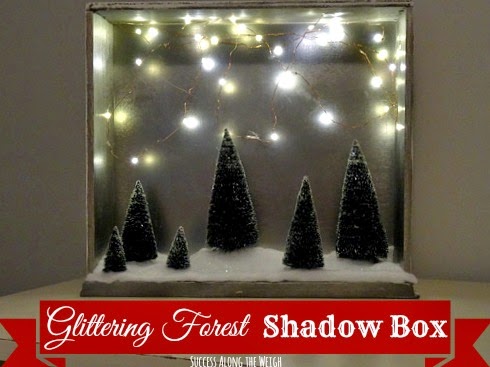 Success Along the Weigh: Glittering Forest Shadow Box