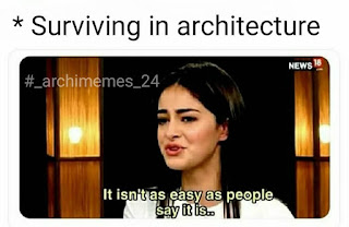 Ananya Panday Meme (Main Bahut Struggle Kiya Hai)