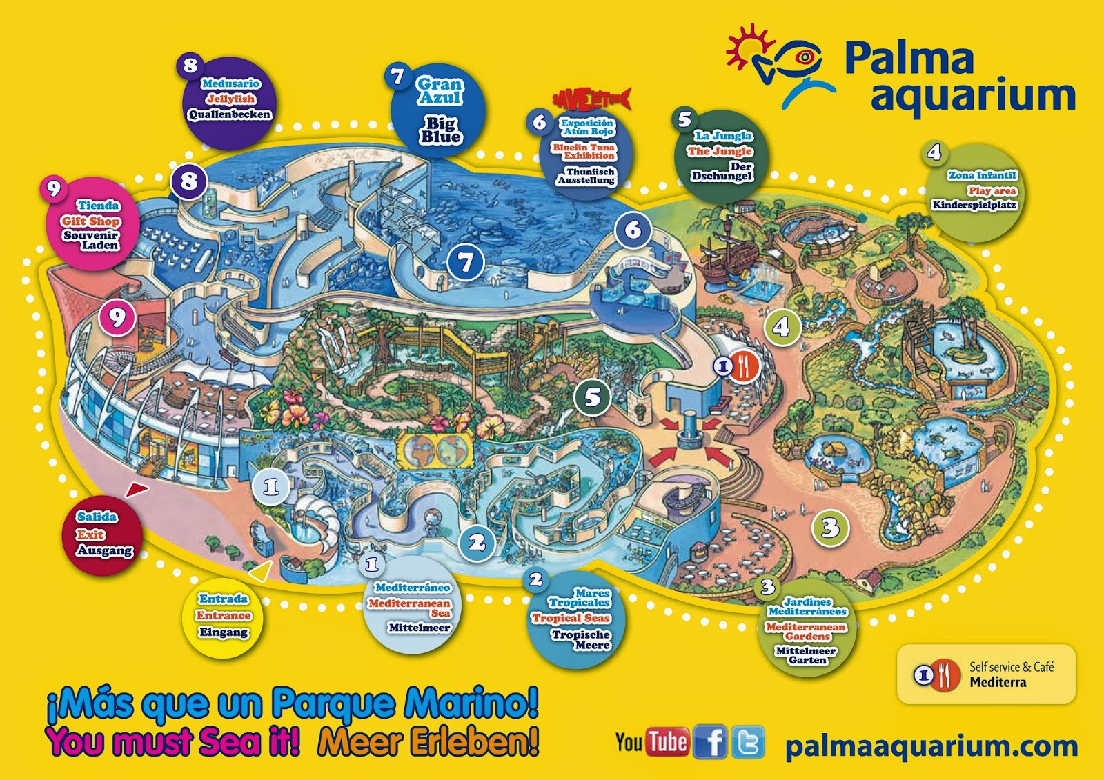 "Palma Aquarium" Mallorca Treasure Blog