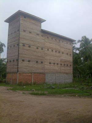 Biaya Minimalis Buat Gedung Burung Walet  Burung Walet 