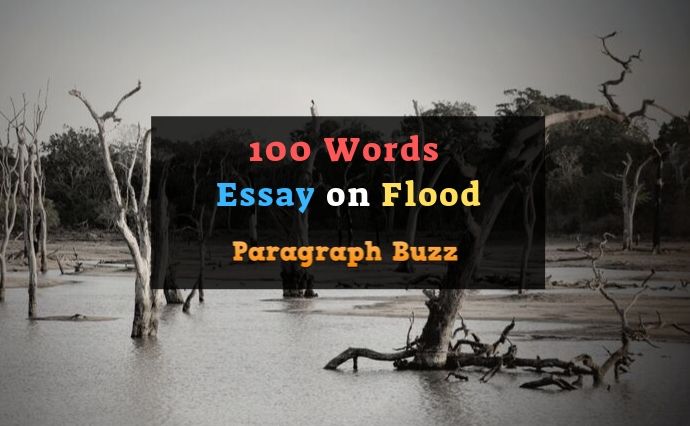 100 words essay on flood