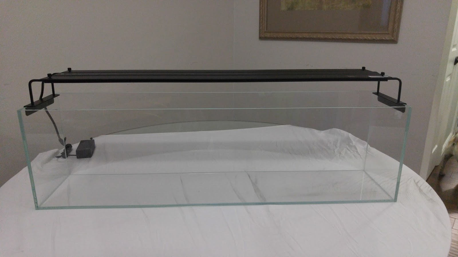 AquaMaxx 12Gallon Long Rimless Aquarium and NemoLight AquaMarine