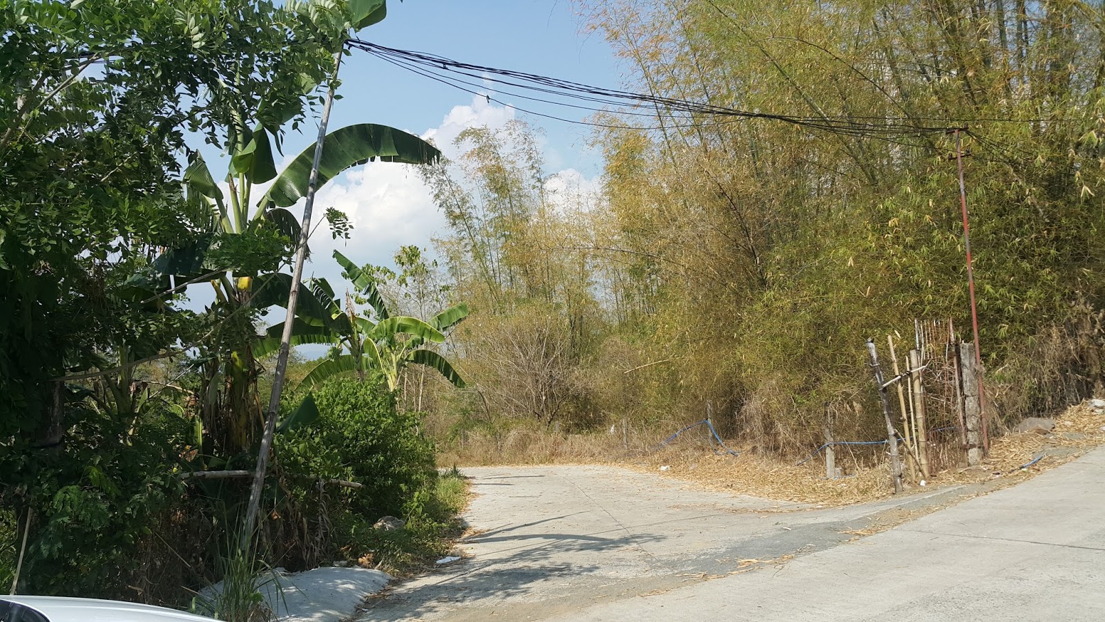 HOUSES AND LOTS FOR SALE CARDONA RIZAL LAND FOR HOUSING DEVELOPMENT