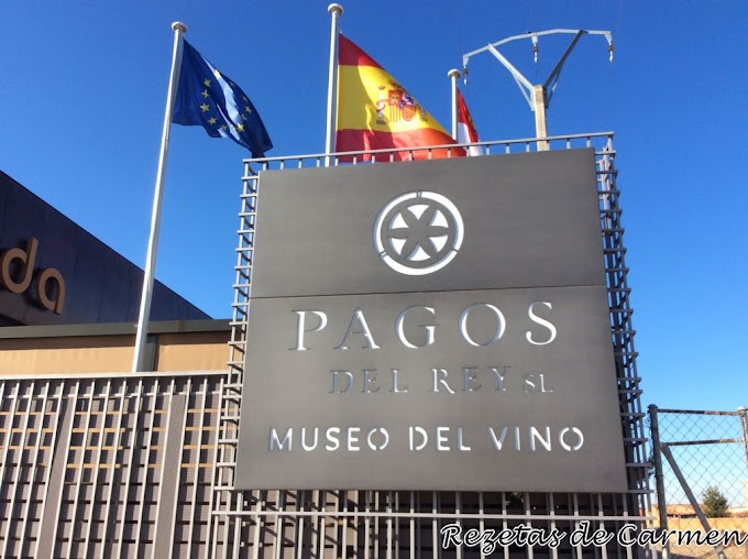 Museo del Vino Pagos del Rey