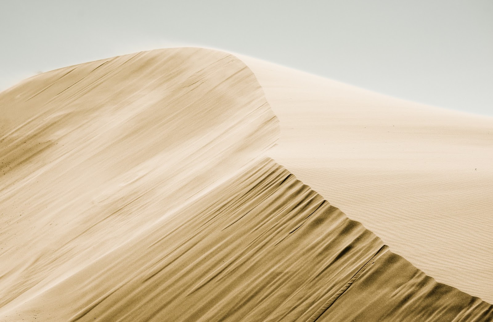 Sand Dunes in Windy Weather Photography