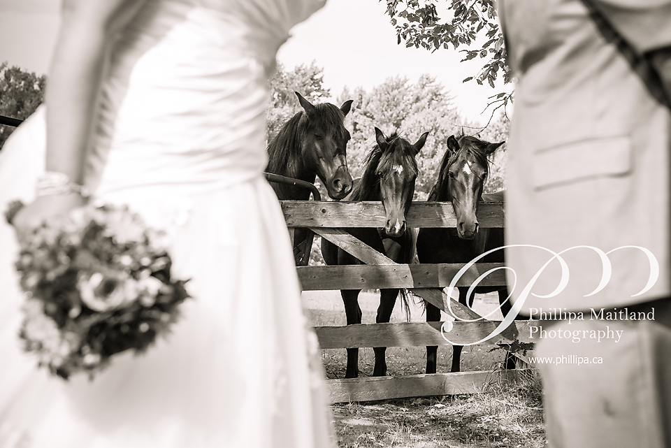 Phillipa Maitland Blog Bean Town Ranch Wedding Ottawa Wedding
